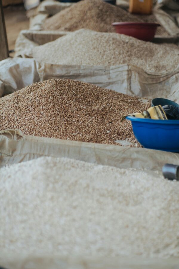 Rice